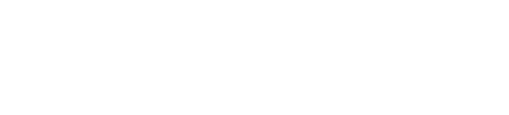 Cash Hunters